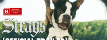 Strays – *NEW* Official Red Band Trailer 2 Starring Jamie Foxx & Will Ferrell